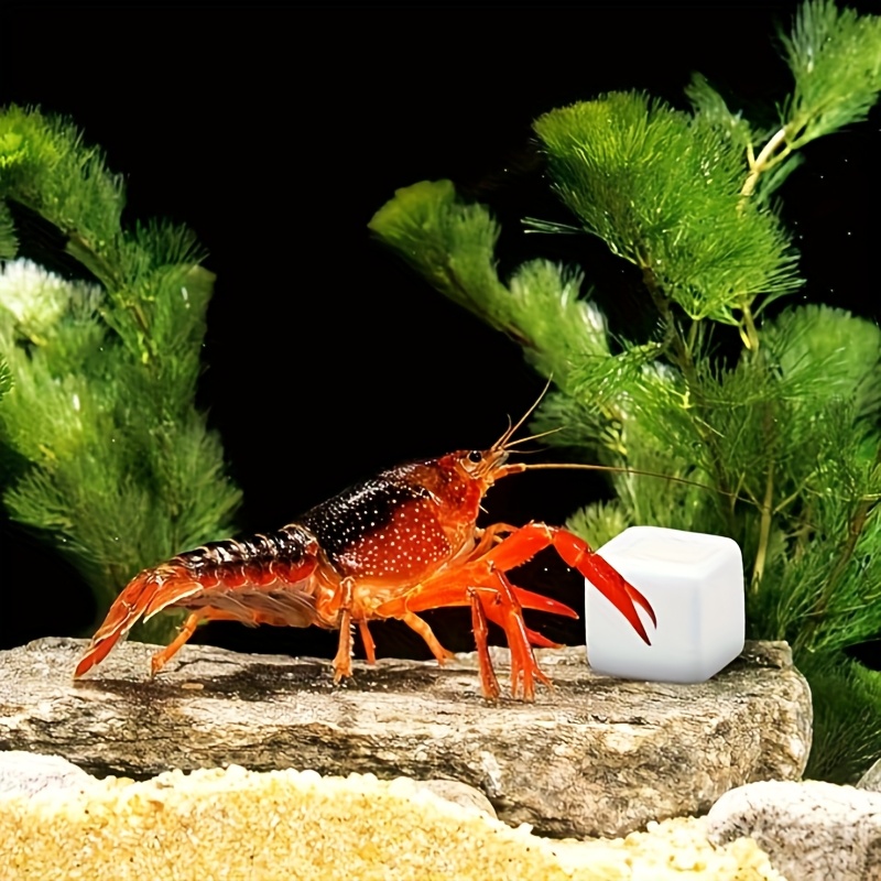 6 szt. bloków wapniowych do ak – Calcium Powder Reptile recenzja i cena